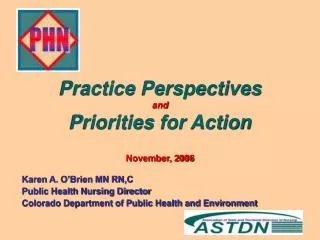 Practice Perspectives and Priorities for Action November, 2006