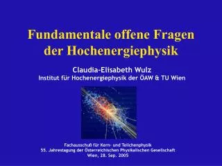 fundamentale offene fragen der hochenergiephysik