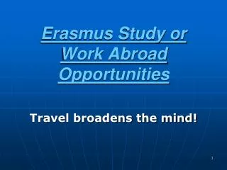 Erasmus Study or Work Abroad Opportunities