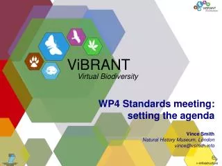 WP4 Standards meeting: setting the agenda