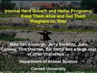 Internal Herd Growth and Heifer Programs: 	Keep Them Alive and Get Them Pregnant on Time