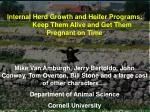 Strategies for Effective Heifer Growth and Management: Ensuring Timely Pregnancies - slide 1