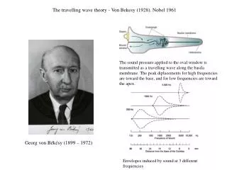 The travelling wave theory - Von Bekesy (1928). Nobel 1961