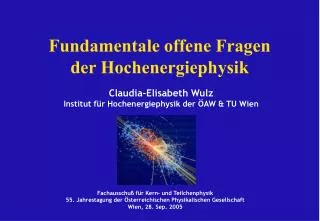 fundamentale offene fragen der hochenergiephysik