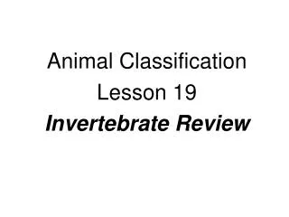 Animal Classification Lesson 19 Invertebrate Review