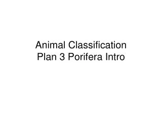 Animal Classification Plan 3 Porifera Intro