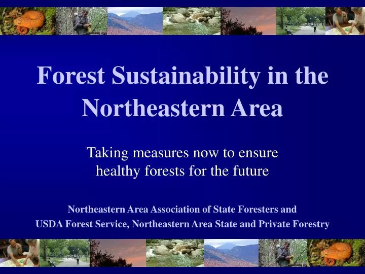 forest sustainability in the northeastern area