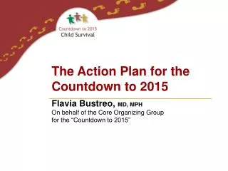 The Action Plan for the Countdown to 2015