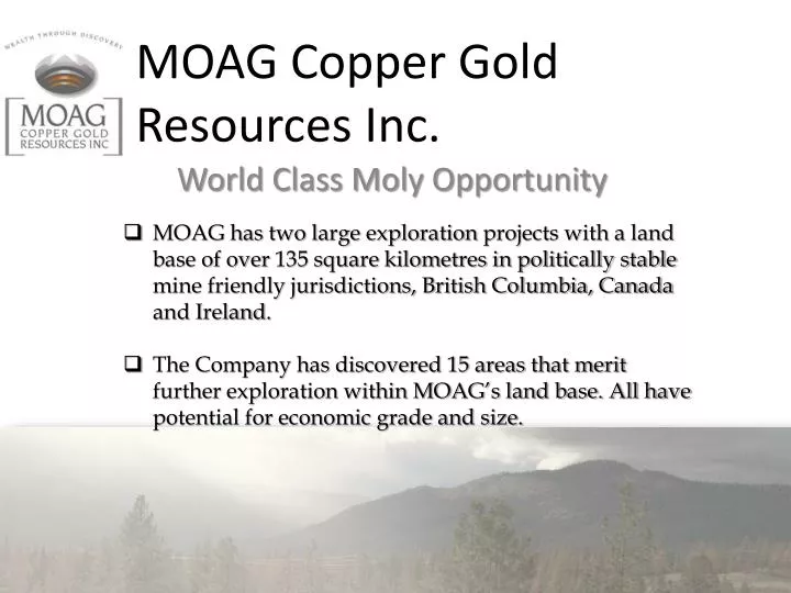 moag copper gold resources inc