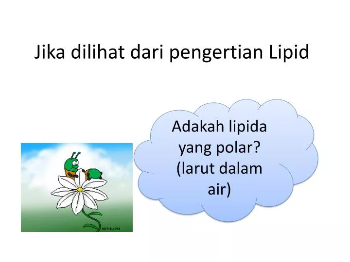 jika dilihat dari pengertian lipid