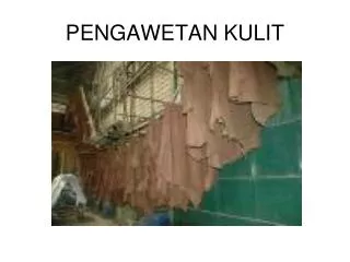 pengawetan kulit