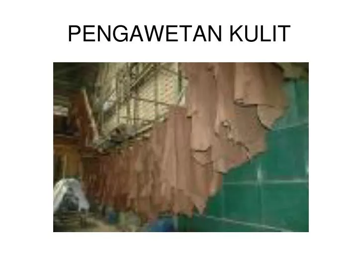 pengawetan kulit