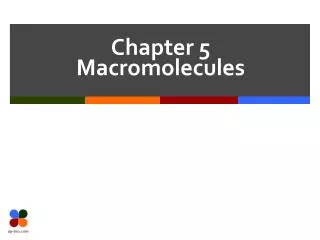 Chapter 5 Macromolecules