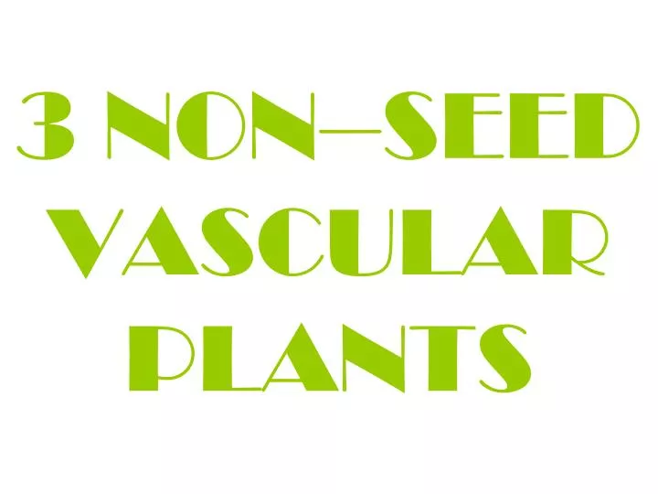 3 non seed vascular plants