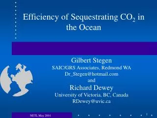 Efficiency of Sequestrating CO 2 in the Ocean