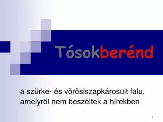 t sok ber nd