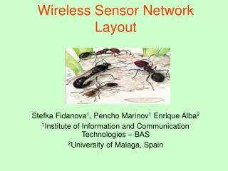 Wireless Sensor Network Layout
