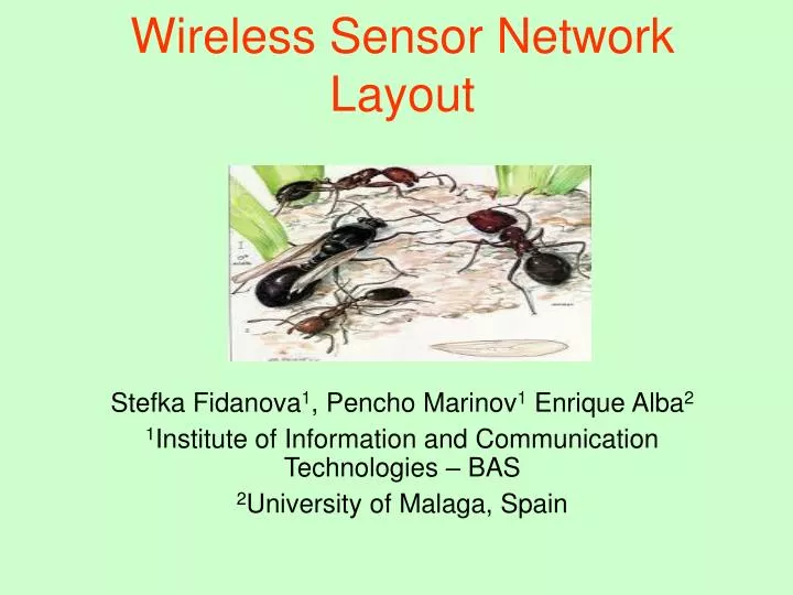 wireless sensor network layout