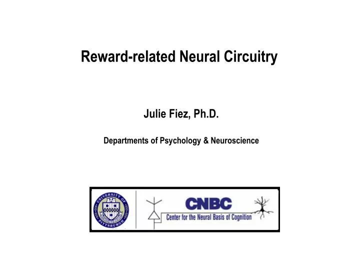 reward related neural circuitry