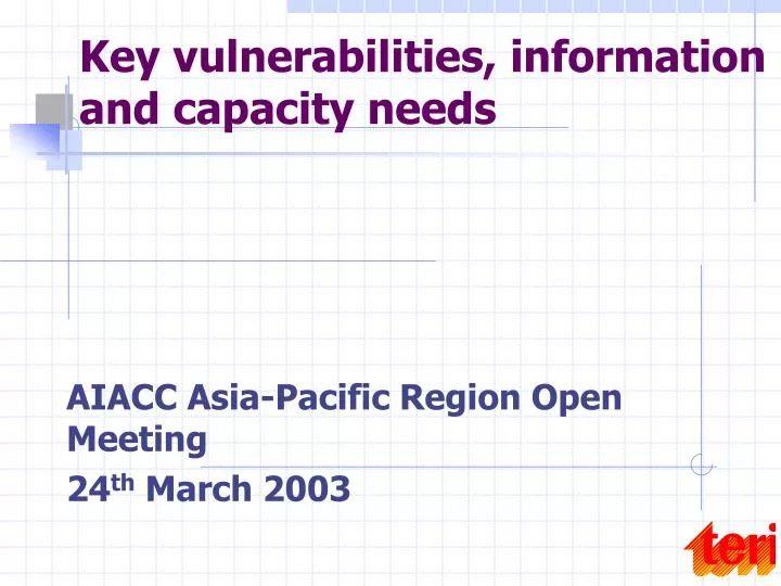 key vulnerabilities information and capacity needs