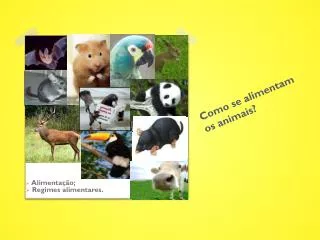 como se alimentam os animais
