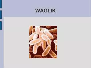 w glik