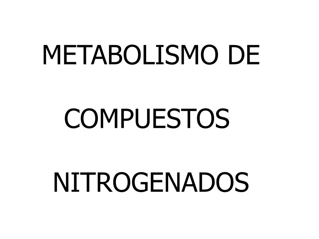 PPT - METABOLISMO DE COMPUESTOS NITROGENADOS PowerPoint Presentation