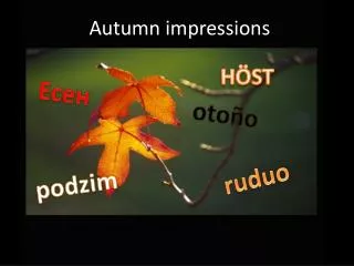 Autumn impressions