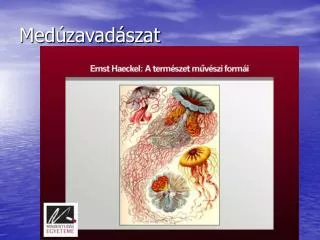 med zavad szat
