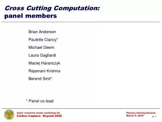 Cross Cutting Computation: panel members