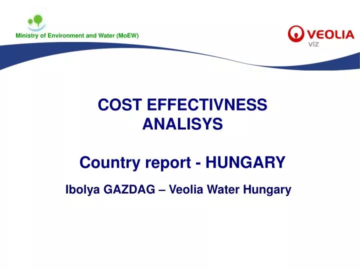 cost effectivness analisys country report hungary
