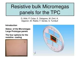Resistive bulk Micromegas panels for the TPC