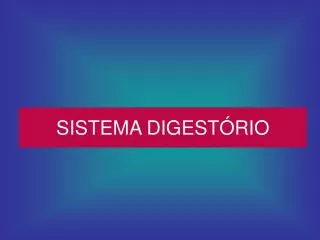 sistema digest rio