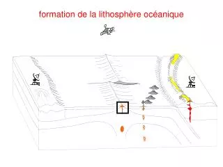 formation de la lithosph re oc anique