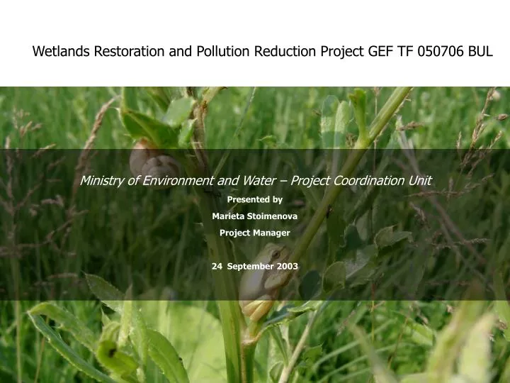 wetlands restoration and pollution reduction project gef tf 050706 bul