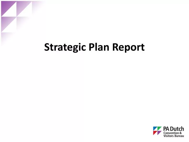 strategic plan report