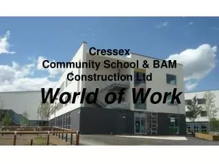 Cressex Community School &amp; BAM Construction Ltd World of Work
