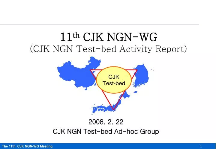 2008 2 22 cjk ngn test bed ad hoc group