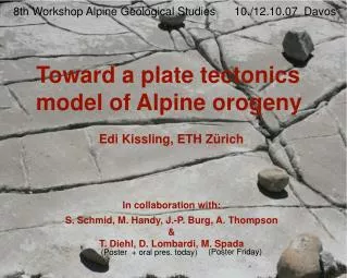 Toward a plate tectonics model of Alpine orogeny