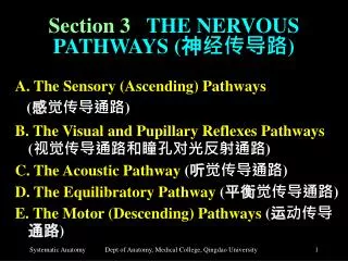 section 3 the nervous pathways