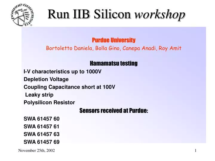 run iib silicon workshop