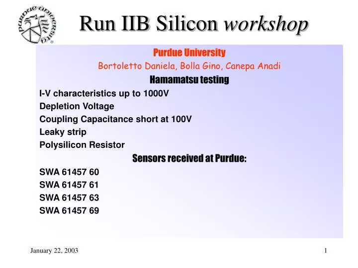 run iib silicon workshop