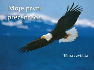 moje prvn prezentace