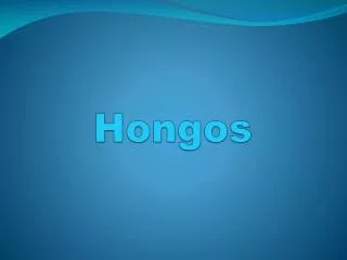hongos