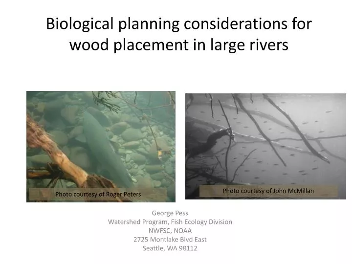 biological planning considerations for wood placement in large rivers