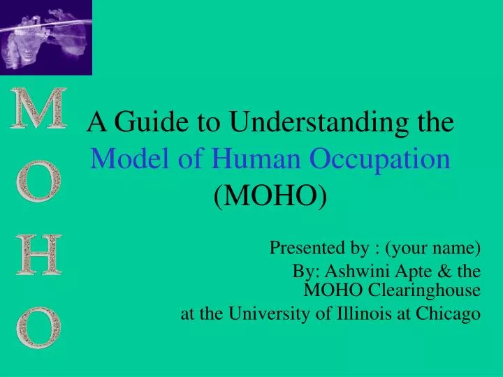 a guide to understanding the model of human occupation moho