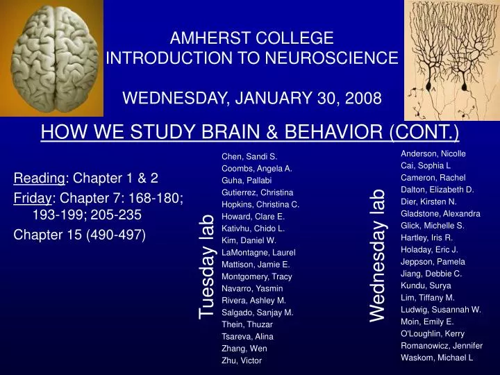how we study brain behavior cont