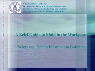 A Brief Guide to Mold in the Workplace Safety and Health Information Bulletins