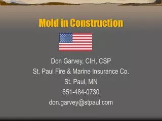 Mold in Construction