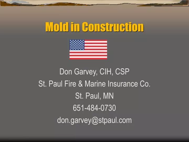 mold in construction